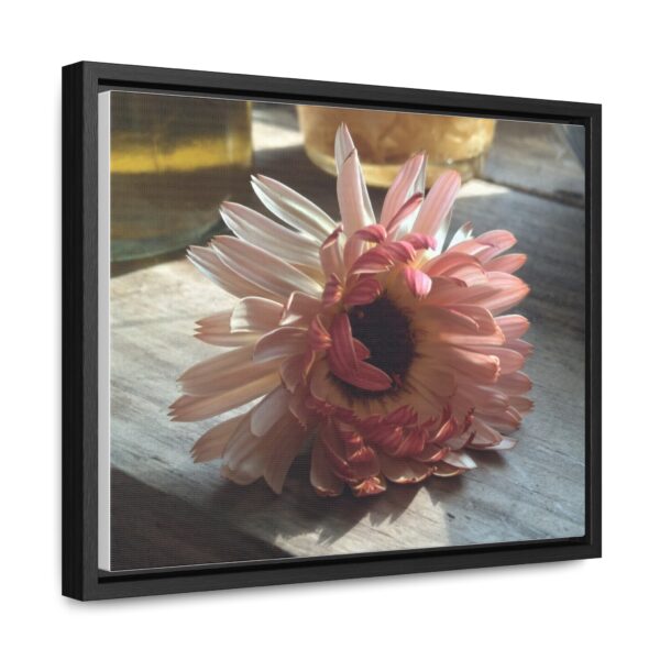 Pink Calendula Flower Print- Canvas Wrap - Image 2