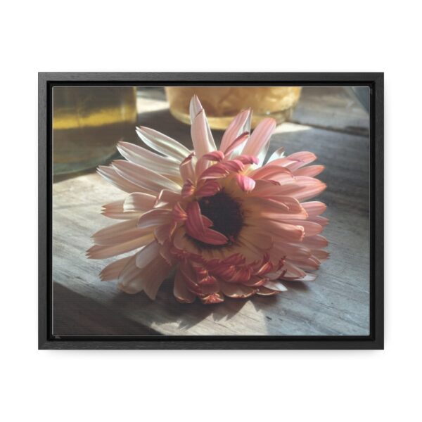 Pink Calendula Flower Print- Canvas Wrap