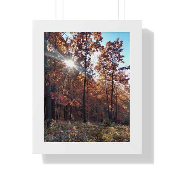 Vertical Poster - Fall Morning Sunrise in the Woods Print by Connie Fritz - Image 7