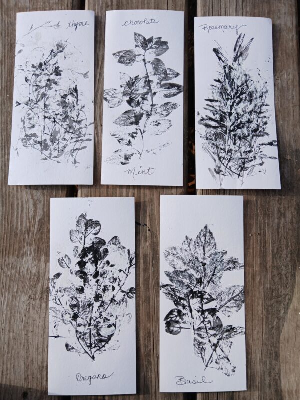 5 pc. Herb Print Set