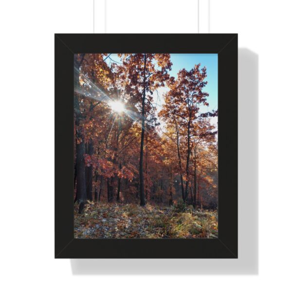 Vertical Poster - Fall Morning Sunrise in the Woods Print by Connie Fritz