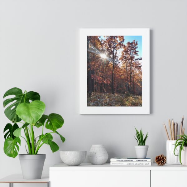 Vertical Poster - Fall Morning Sunrise in the Woods Print by Connie Fritz - Image 8