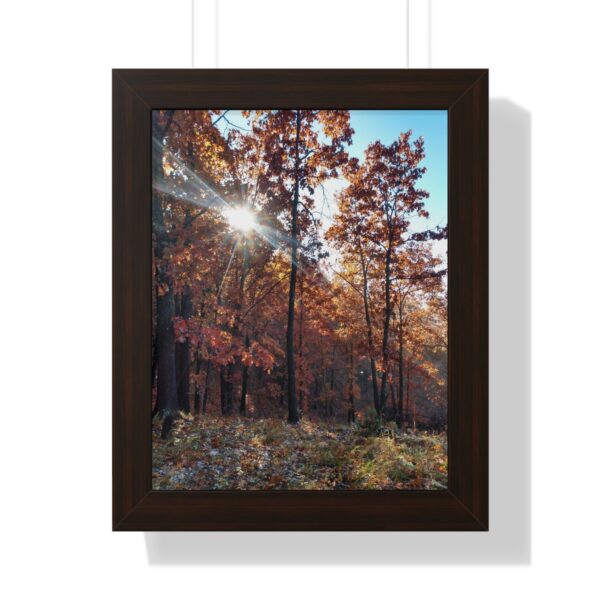 Vertical Poster - Fall Morning Sunrise in the Woods Print by Connie Fritz - Image 4