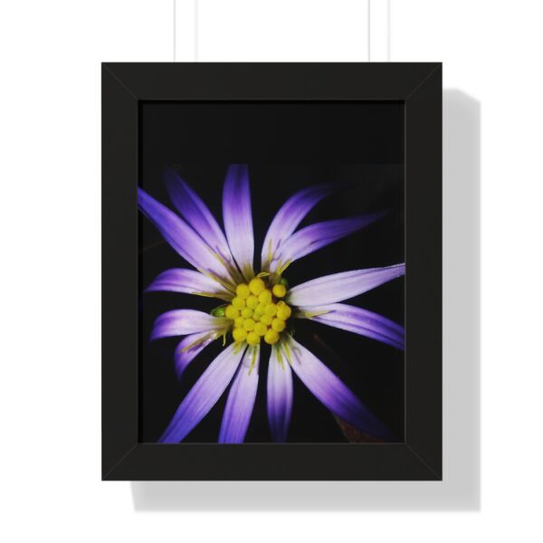 Vertical Poster Print - Flower in Connie Fritz's Garden